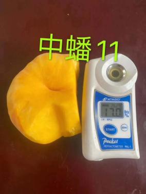 蒙阴篇 巾帼好产品，等您来团购——聚焦散装及预包装食品的优质销售